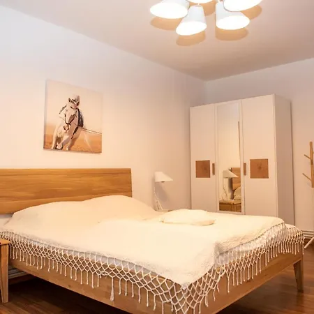 Classic Near The City Center * Cluj-Napoca