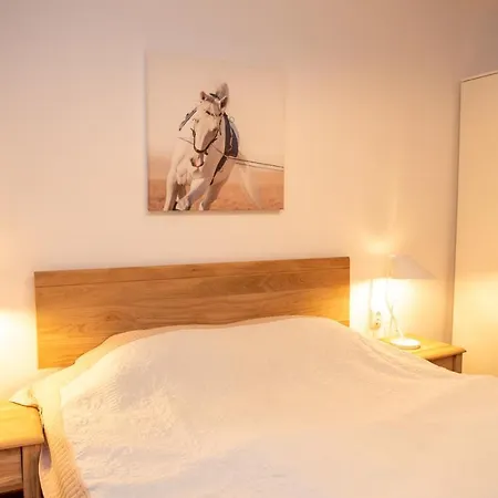 Classic Near The City Center Appartement *