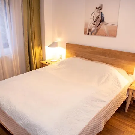 Classic Near The City Center Appartement
