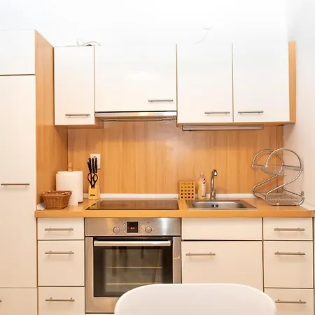Apartament Classic Near The Center