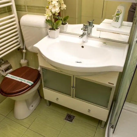 Classic Near The City Center Appartement *