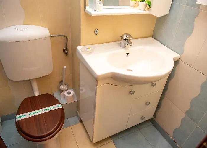 Classic Near The Center Apartment Cluj-Napoca